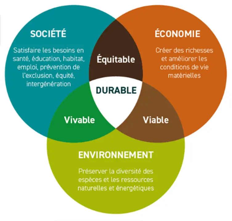 Responsabilité sociétale des entreprises (RSE). Social, environnemental et économique